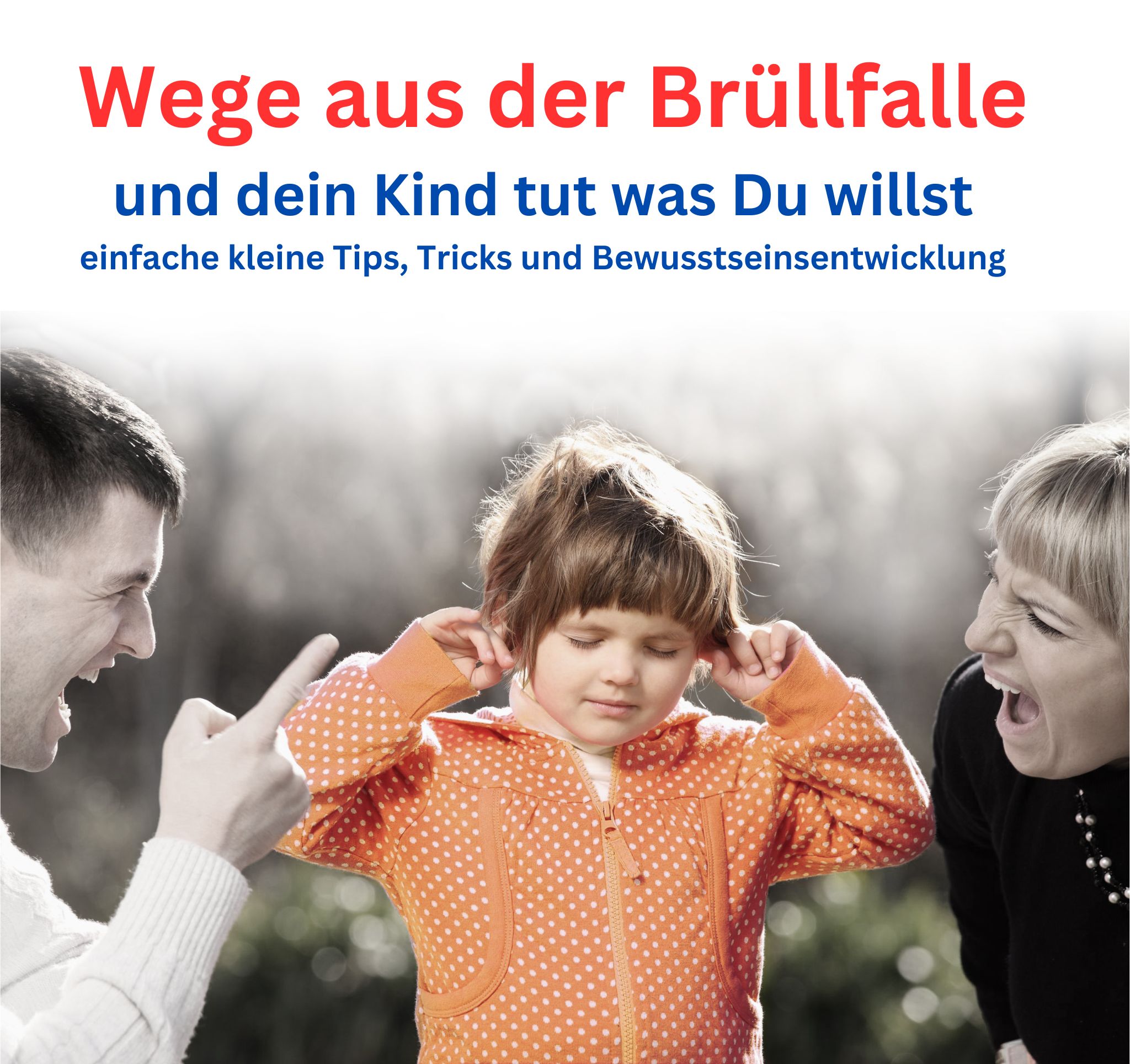 Wege aus der Brüllfalle Canva 2025